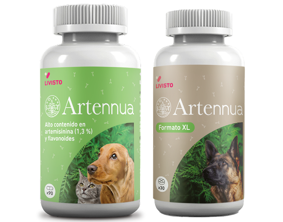 ARTENNUA PRODUCTO